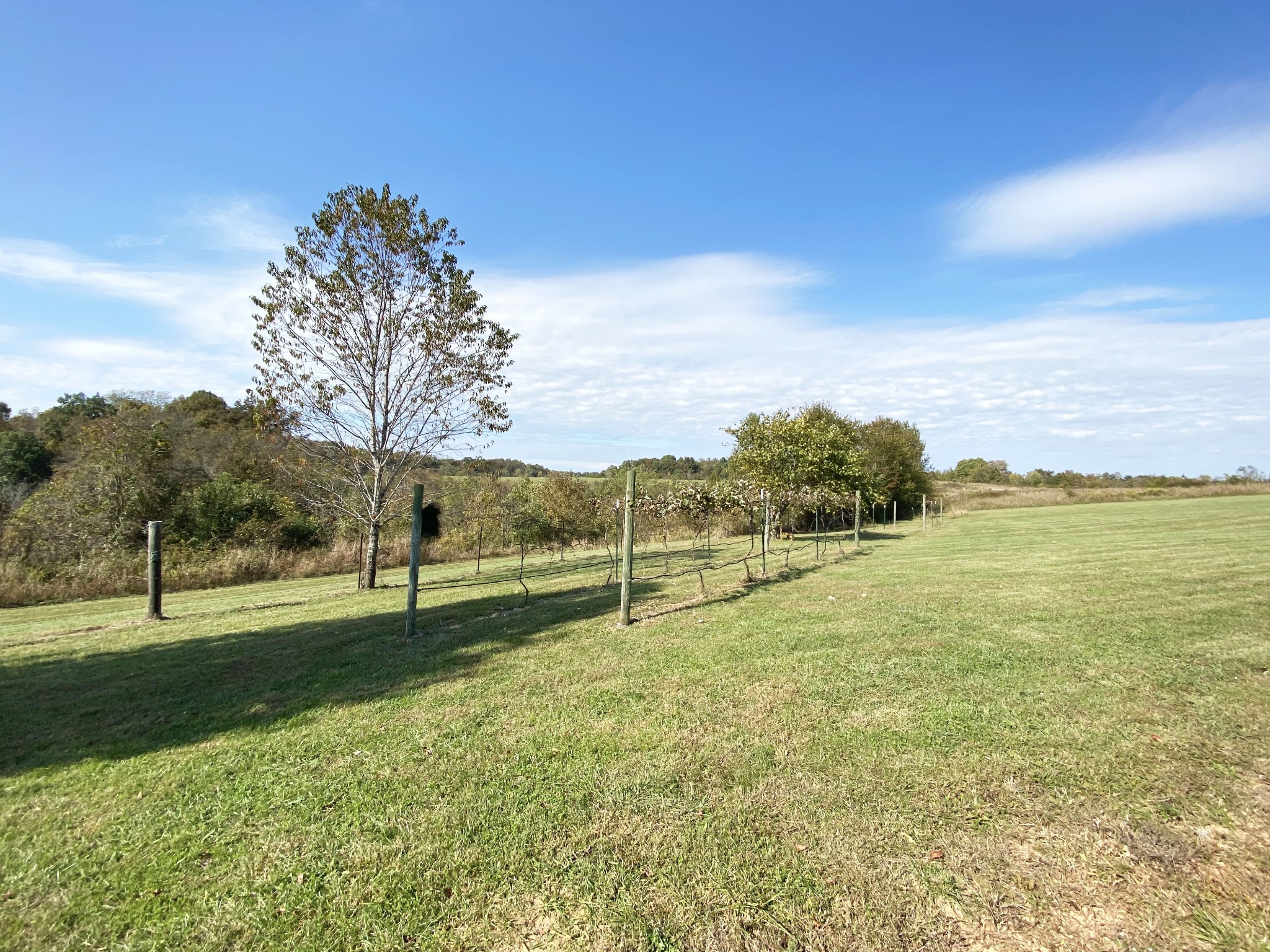 585 Blooming Grove Road Pulaski, TN 38478 - Photo 33 of 41 a view of an outdoor space with a lake view