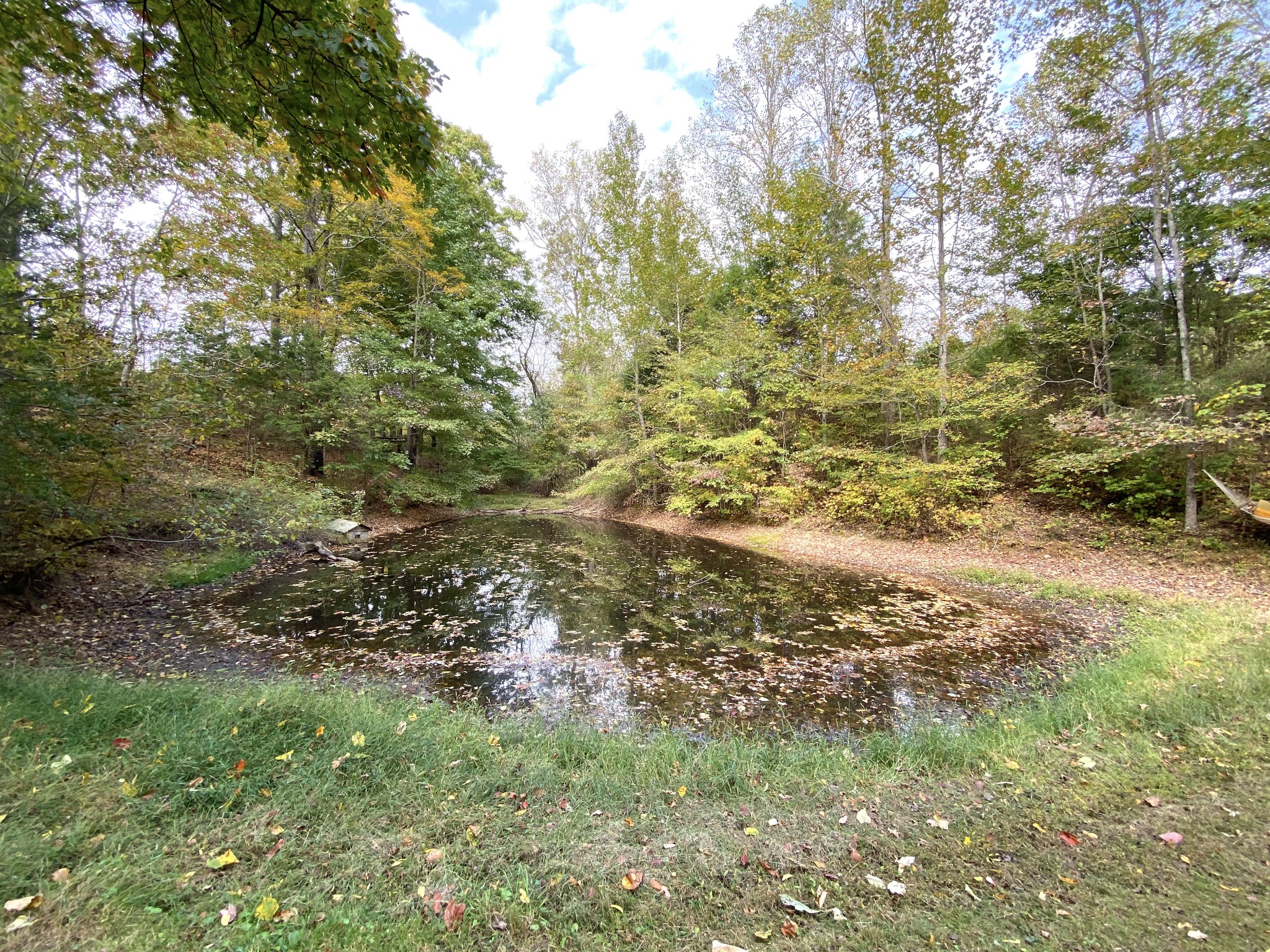 585 Blooming Grove Road Pulaski, TN 38478 - Photo 34 of 41 a view of a yard with large trees