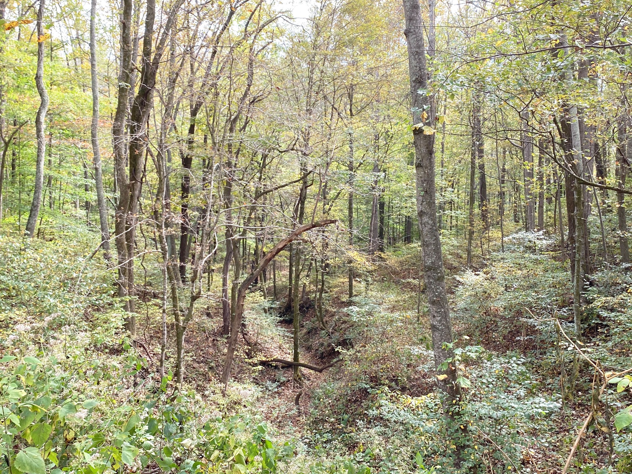 585 Blooming Grove Road Pulaski, TN 38478 - Photo 35 of 41