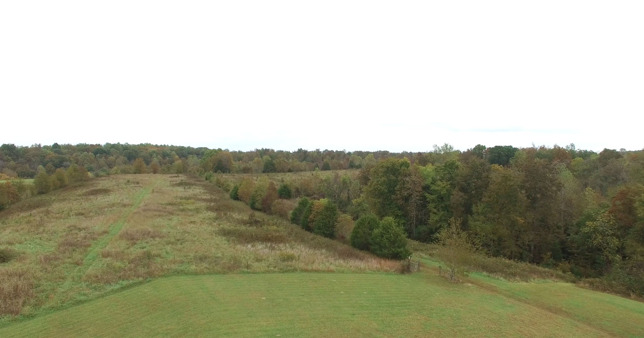 585 Blooming Grove Road Pulaski, TN 38478 - Photo 40 of 41 a view of a field with trees in the background