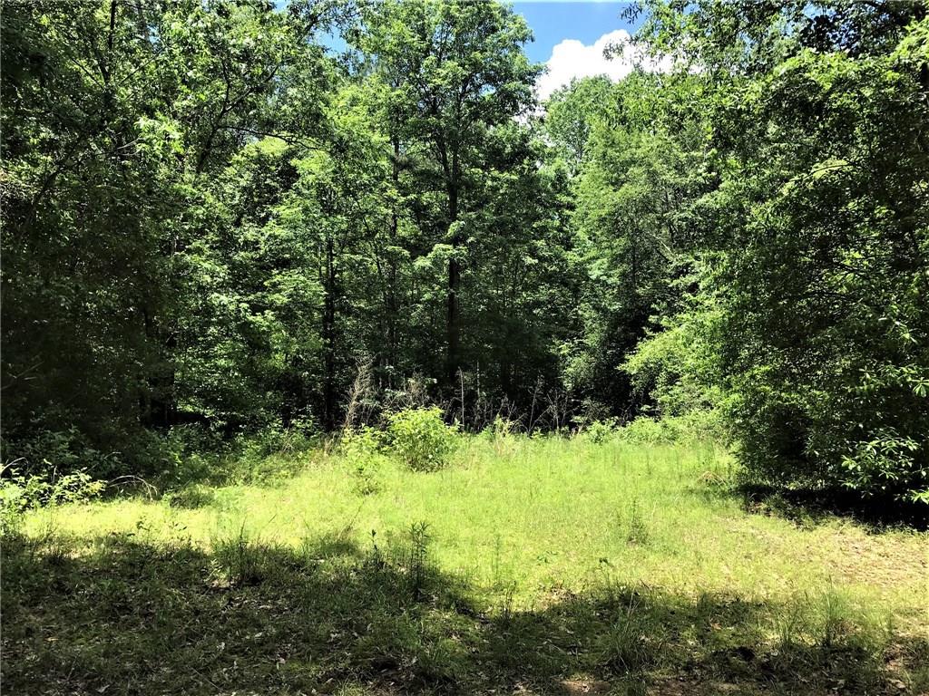 93-acres 93-acres Laverne Crain Road Angie, LA 70426 - Photo 11 of 14