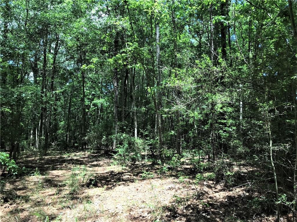 93-acres 93-acres Laverne Crain Road Angie, LA 70426 - Photo 12 of 14