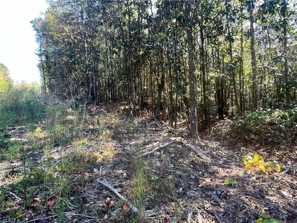 93-acres 93-acres Laverne Crain Road Angie, LA 70426 - Photo 13 of 14