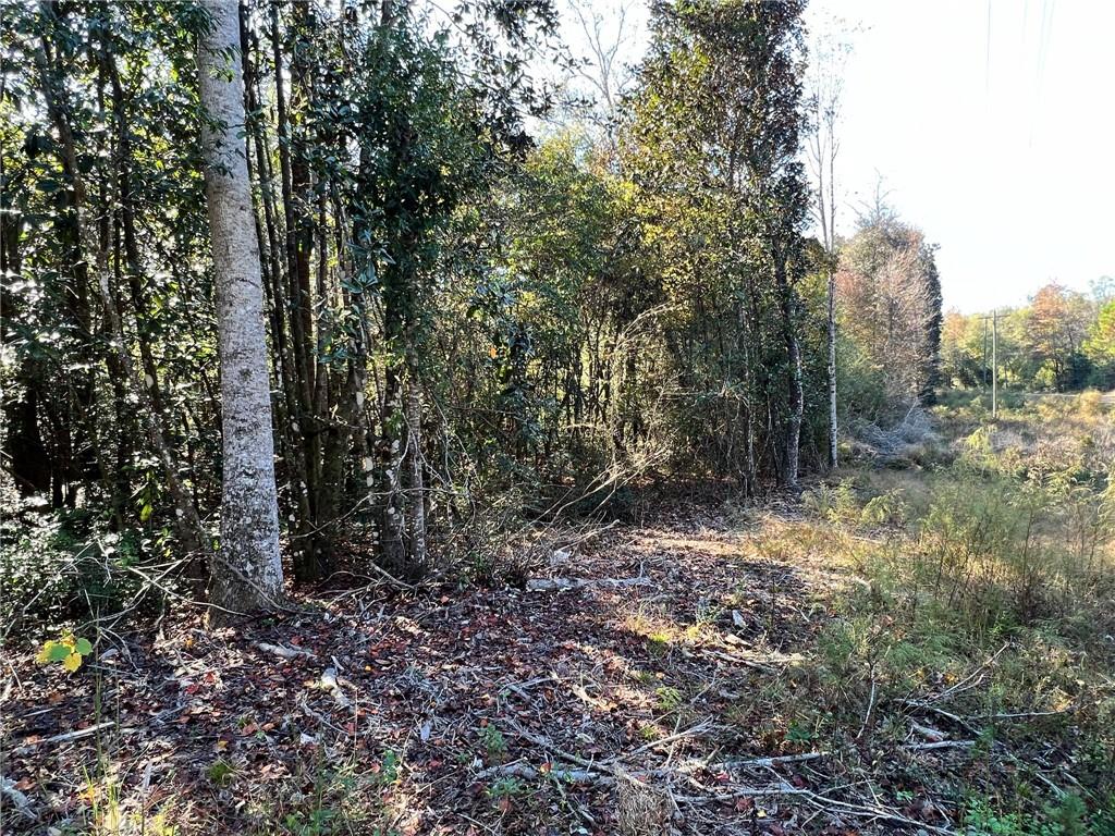 93-acres 93-acres Laverne Crain Road Angie, LA 70426 - Photo 14 of 14