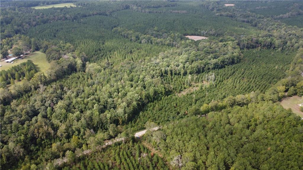 93-acres 93-acres Laverne Crain Road Angie, LA 70426 - Photo 2 of 14