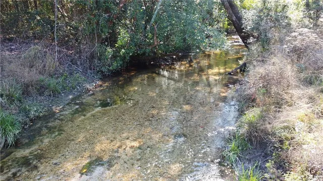 $251,794 | 93-acres 93-acres Laverne Crain Road, Angie, LA 70426