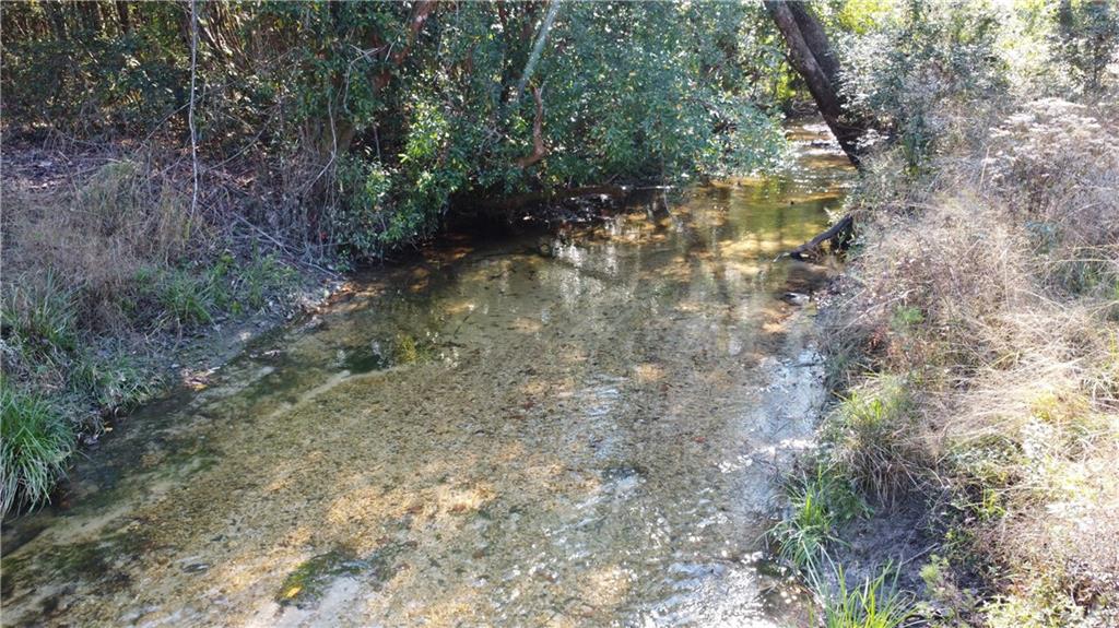 93-acres 93-acres Laverne Crain Road Angie, LA 70426 - Photo 4 of 14