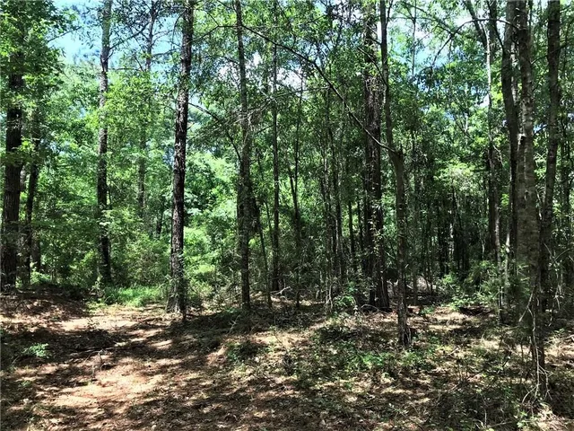 $251,794 | 93-acres 93-acres Laverne Crain Road, Angie, LA 70426