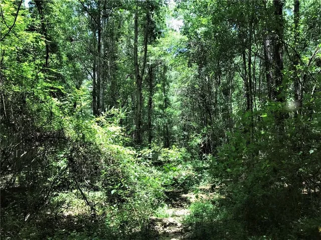 $251,794 | 93-acres 93-acres Laverne Crain Road, Angie, LA 70426