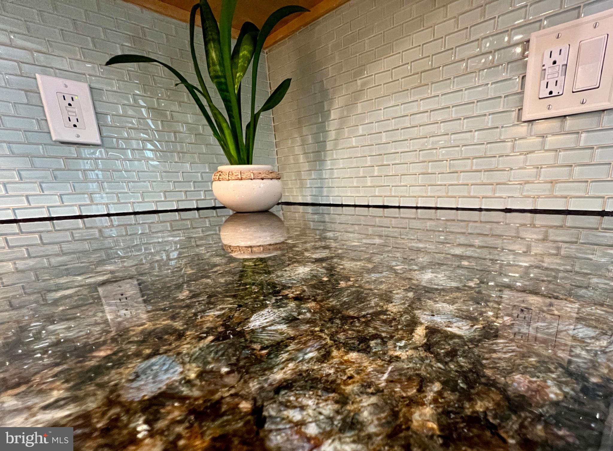 4 Running Brook Road Ewing, NJ 08638 - Photo 11 of 46 Elegant countertop with vibrant plant.