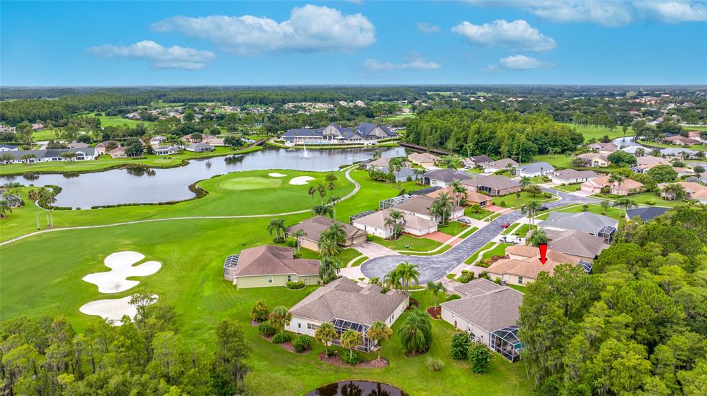 11421 Strathaven Court Trinity, FL 34655 - Photo 69 of 91 Gallery Image 69
