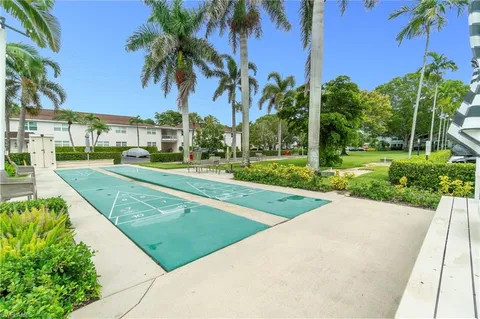 a view of a park with palm trees