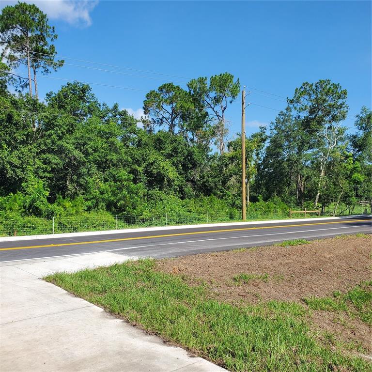 Pollard Road Winter Haven, FL 33884 - Photo 12 of 17 a view of a garden area