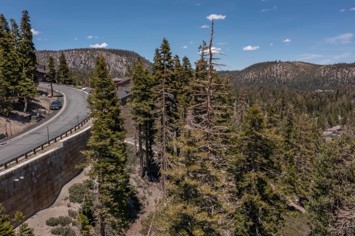 33 Bridges Lane Mammoth Lakes, CA 93546 - Photo 3 of 28