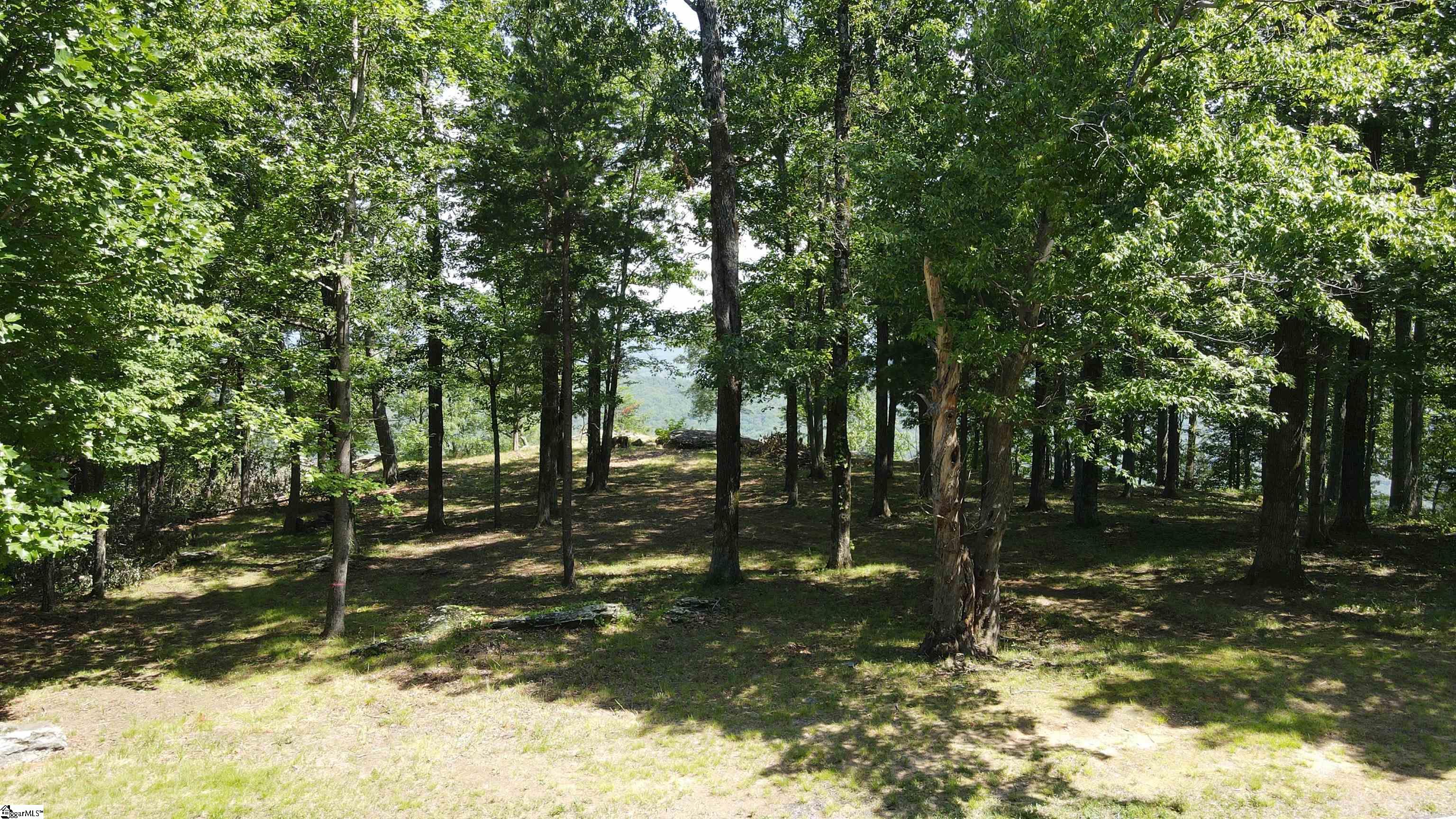 0 Southview Ledge Road, Unit LOT 62 Landrum, SC 29356 - Photo 25 of 34