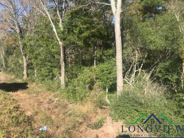 Tbd East Mountain Road Longview, TX 75604 - Photo 1 of 1 Gallery Image 1