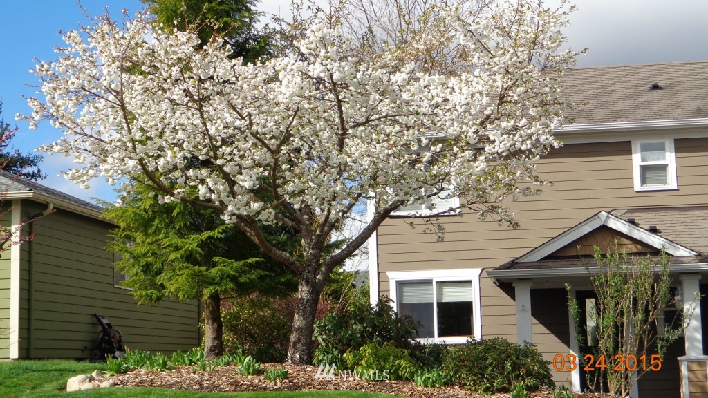3927 Lakemont Road Bellingham, WA 98226 - Photo 7 of 23