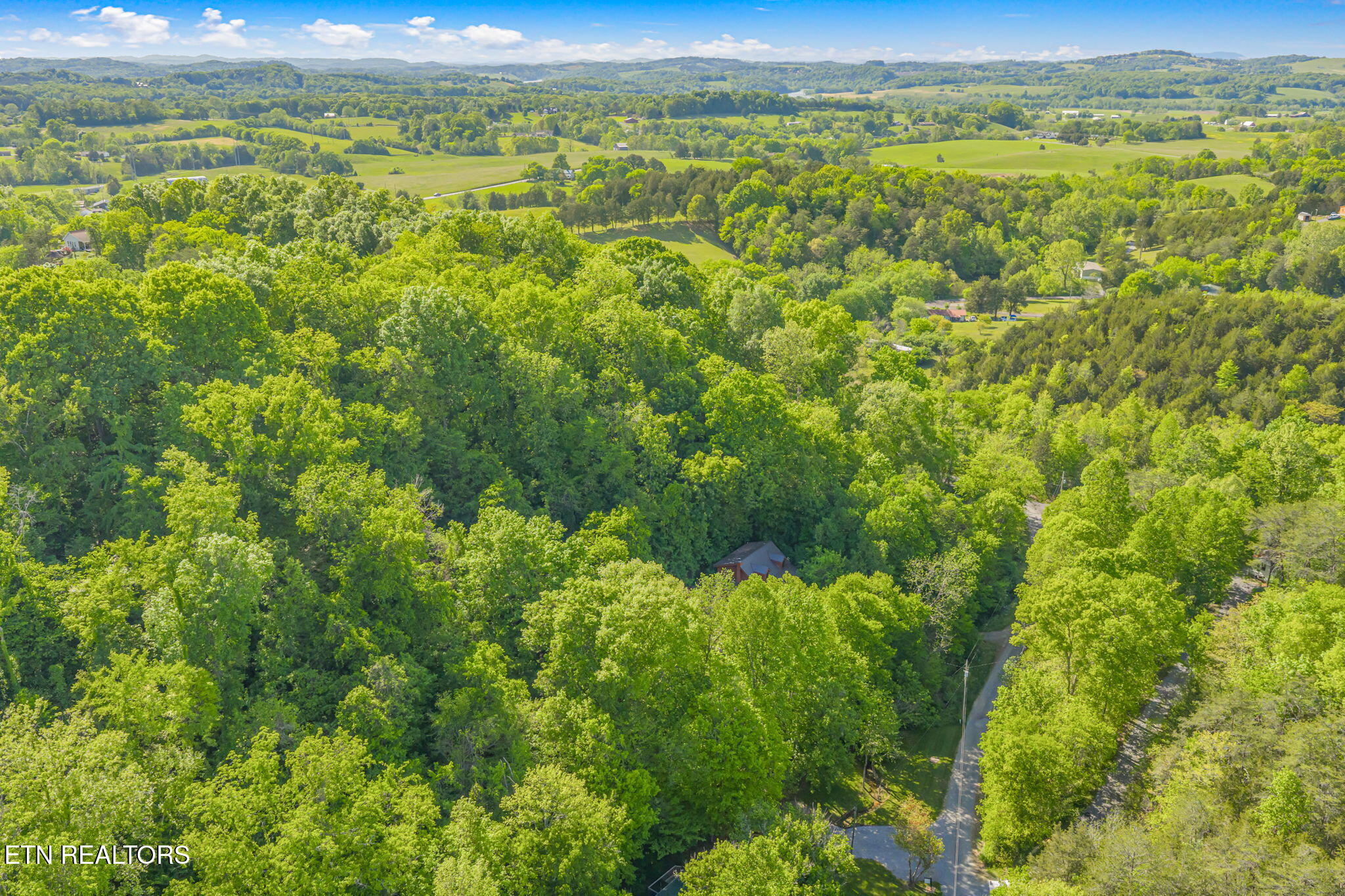1111 Rocky Top Ridge Way Sevierville, TN 37876 - Photo 35 of 42 38-web-or-mls-1111 Rocky Top Ridge-37