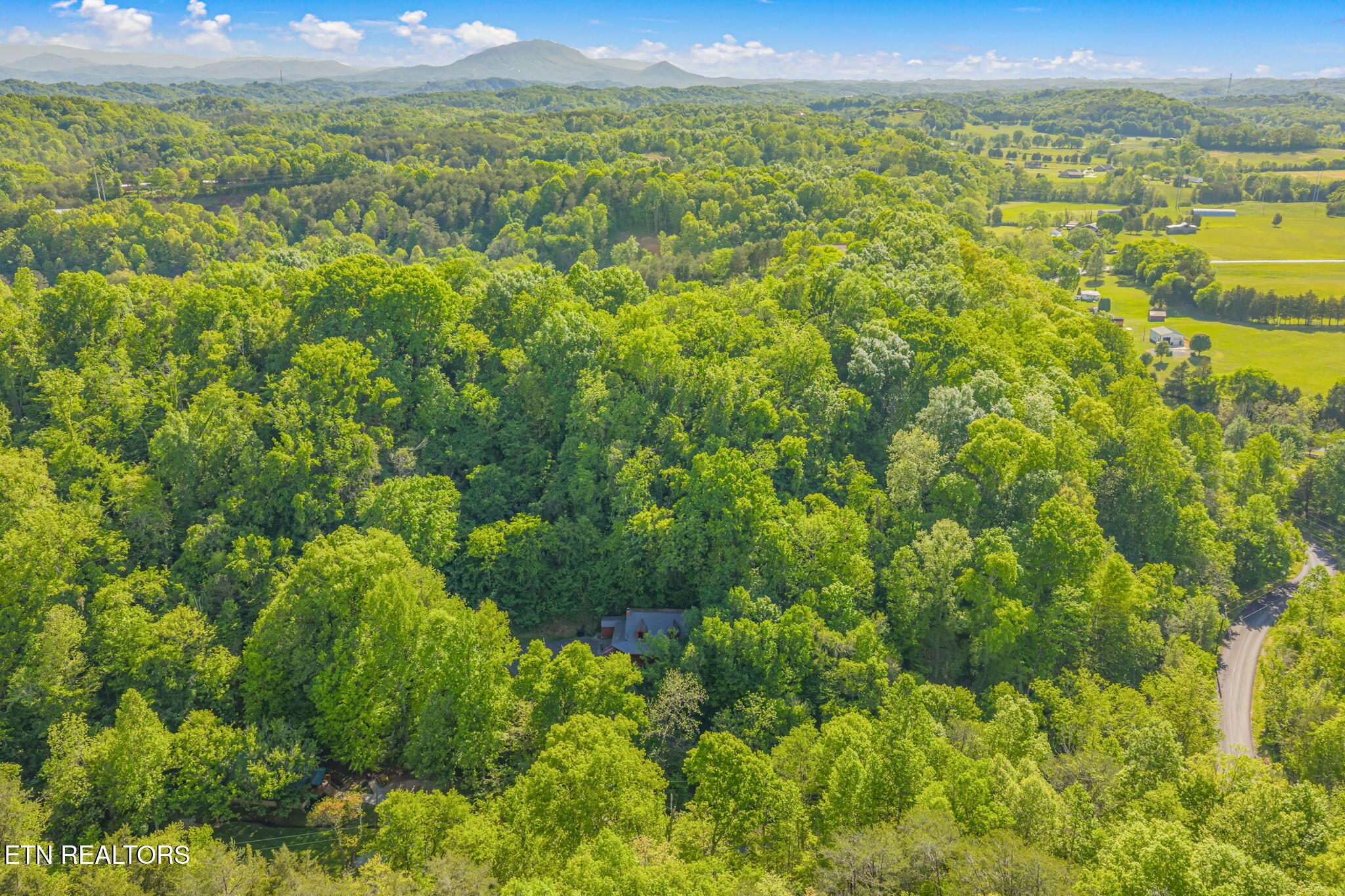 1111 Rocky Top Ridge Way Sevierville, TN 37876 - Photo 36 of 42 39-web-or-mls-1111 Rocky Top Ridge-38