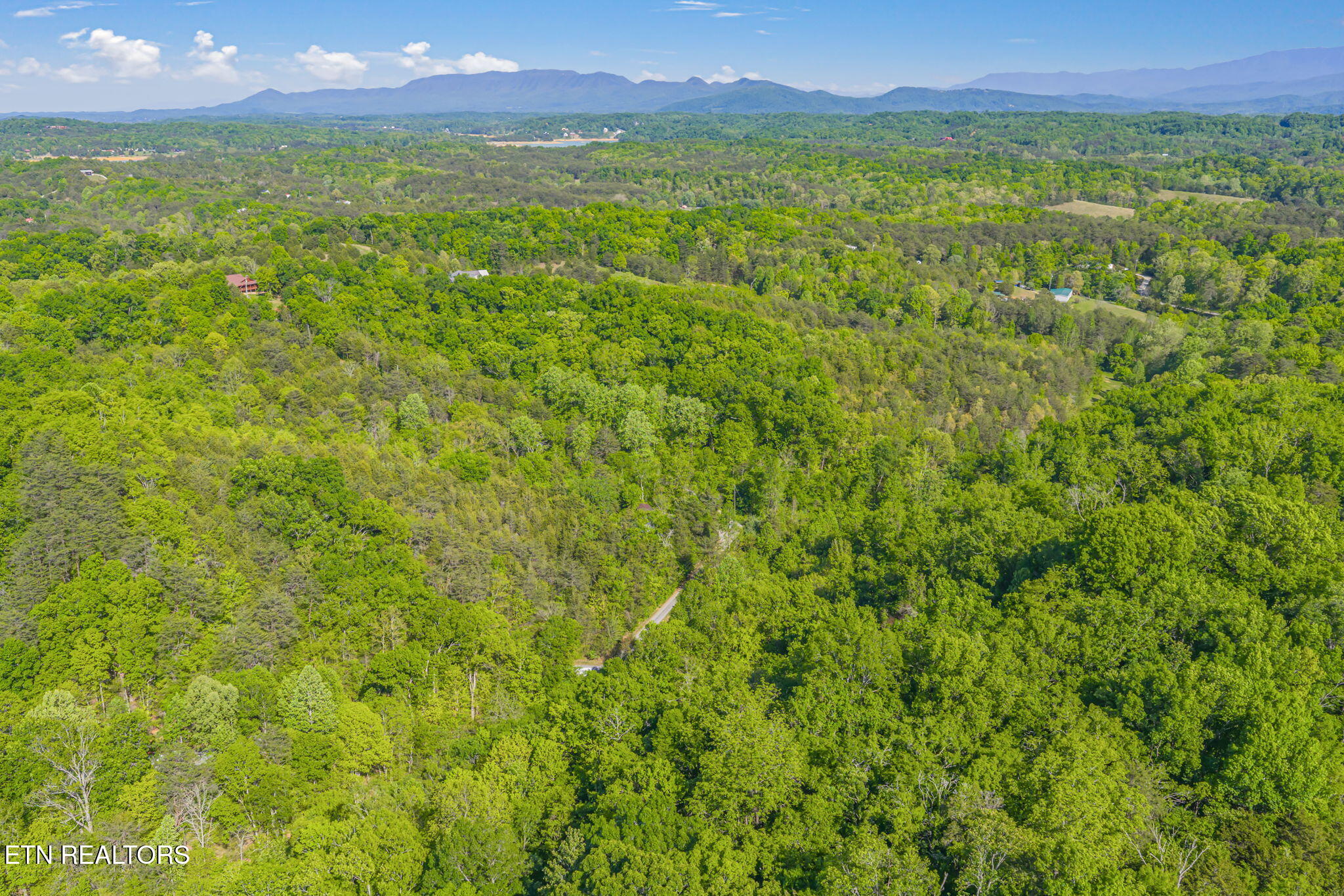 1111 Rocky Top Ridge Way Sevierville, TN 37876 - Photo 39 of 42 42-web-or-mls-1111 Rocky Top Ridge-41