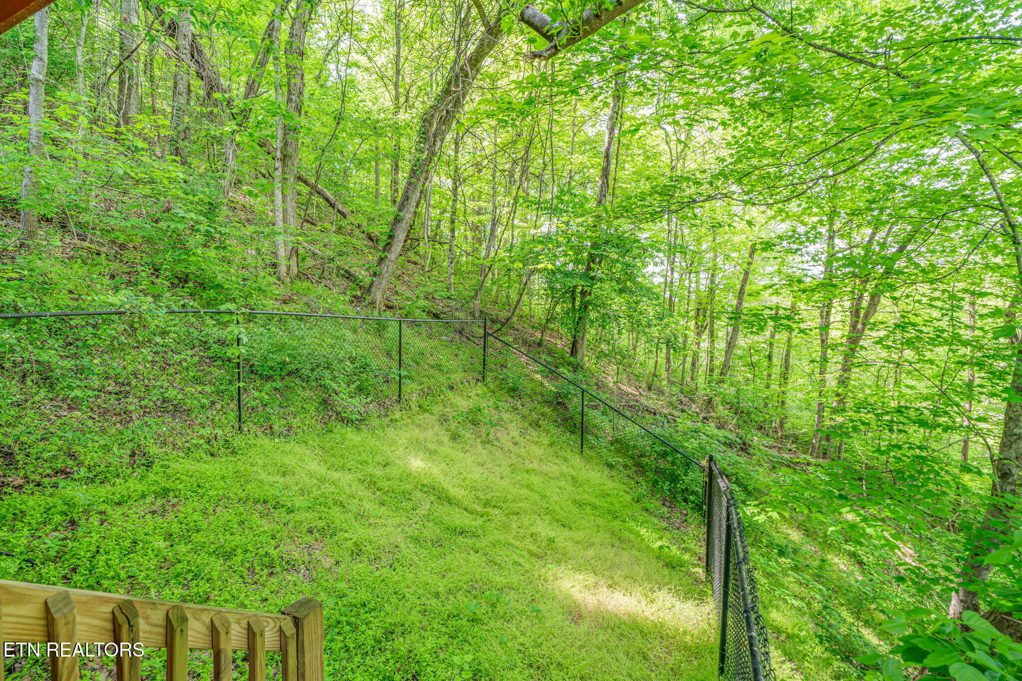 1111 Rocky Top Ridge Way Sevierville, TN 37876 - Photo 41 of 42 13-web-or-mls-1111 Rocky Top Ridge-12