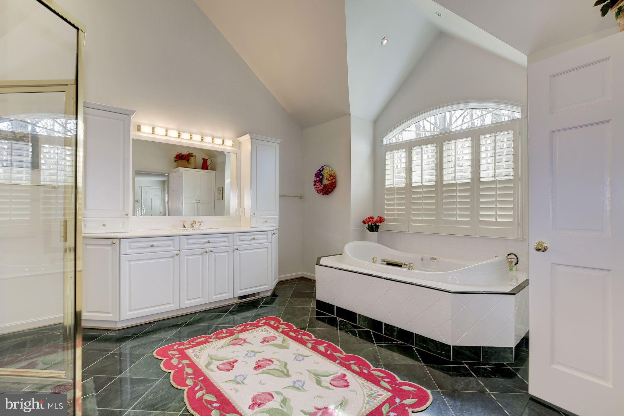 8821 Belmart Road Potomac, MD 20854 - Photo 17 of 29 a bathroom with a sink a mirror and a bathtub