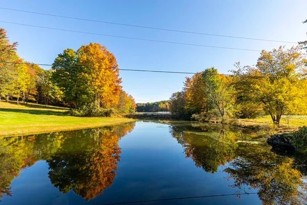 a view of a yard with an trees