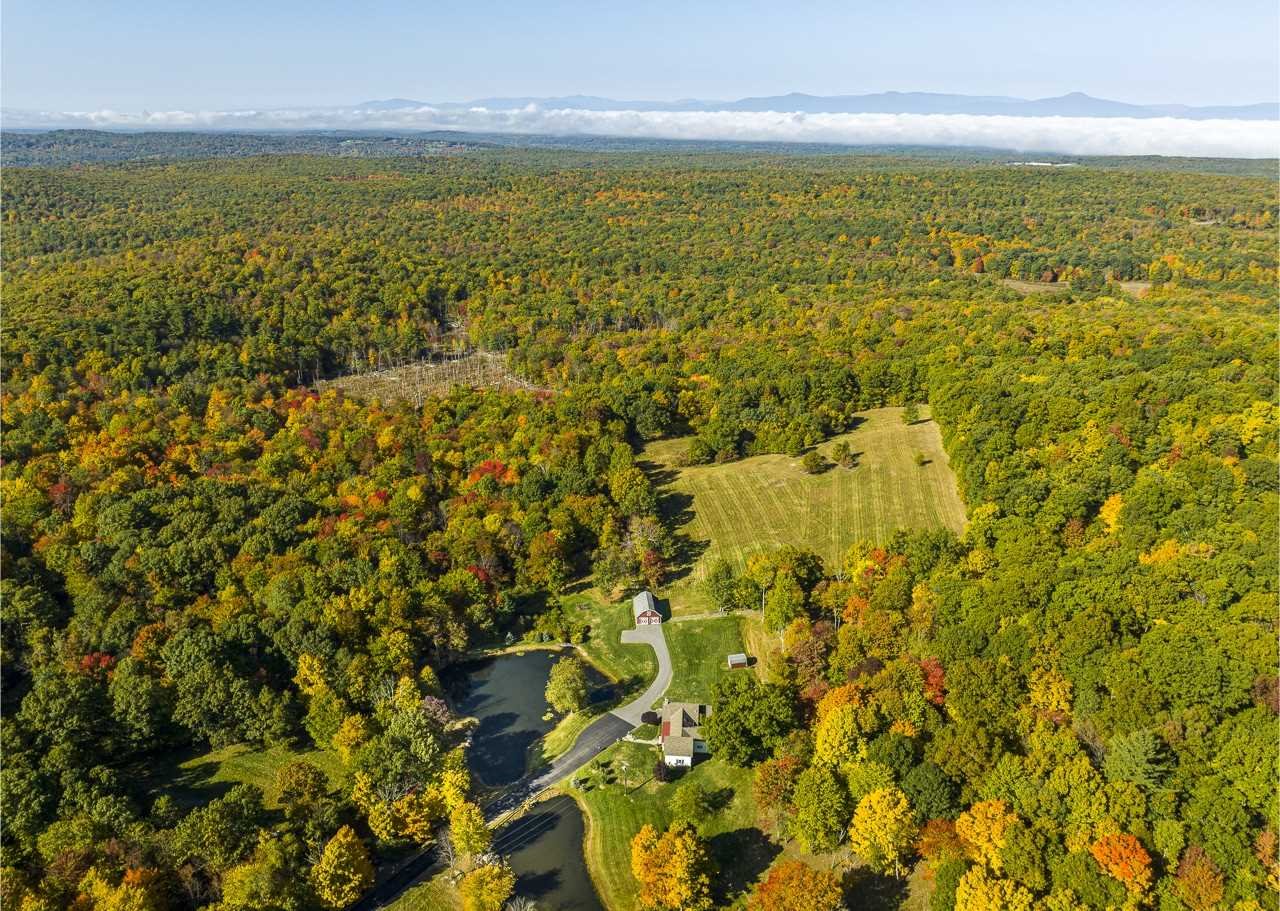 368 Skiba Road Gallatin, NY 12523 - Photo 29 of 40 a view of an ocean