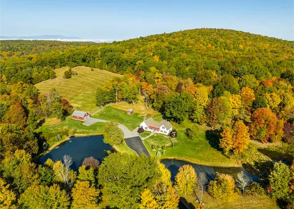 a view of a house with a yard and a large tree