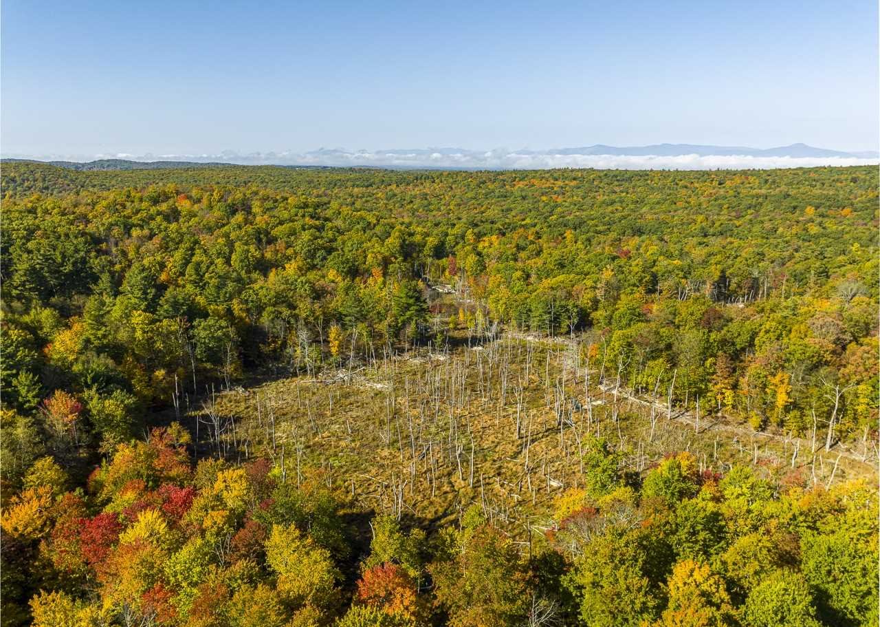 368 Skiba Road Gallatin, NY 12523 - Photo 32 of 40 a view of ocean