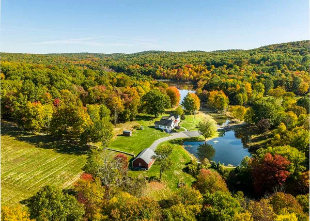 an aerial view of residential house with swimming pool
