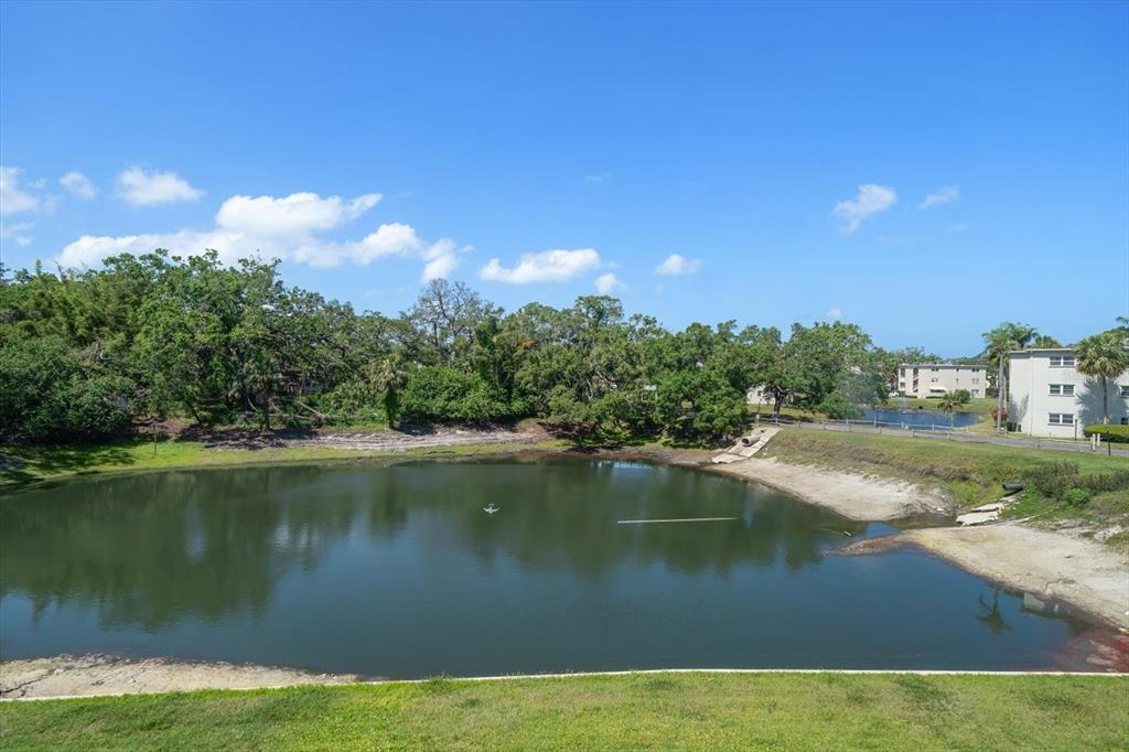 948 Virginia Street, Unit 202 Dunedin, FL 34698 - Photo 14 of 46