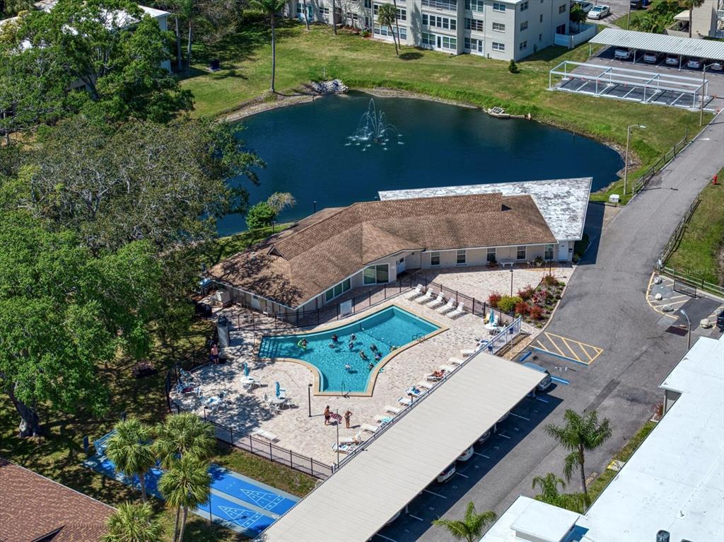 948 Virginia Street, Unit 202 Dunedin, FL 34698 - Photo 33 of 46