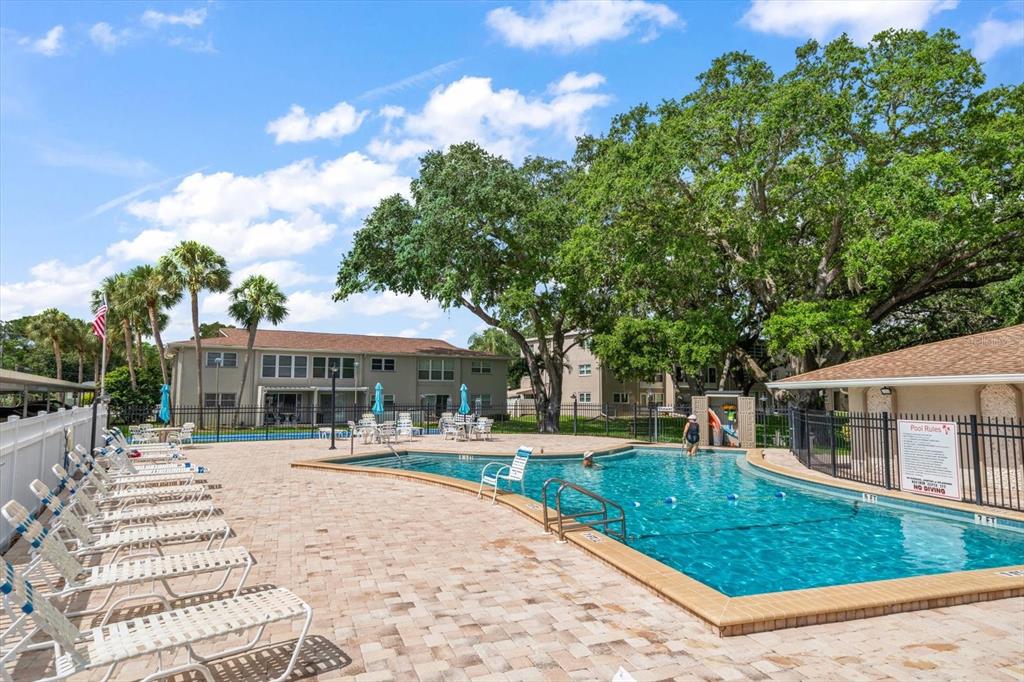 948 Virginia Street, Unit 202 Dunedin, FL 34698 - Photo 35 of 46