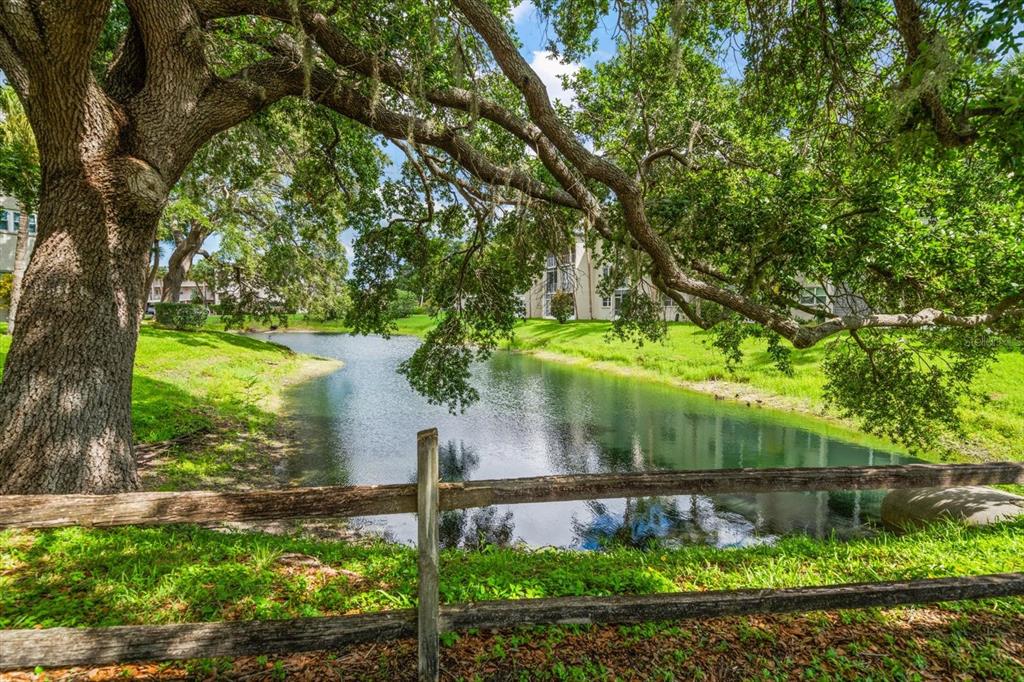 948 Virginia Street, Unit 202 Dunedin, FL 34698 - Photo 42 of 46