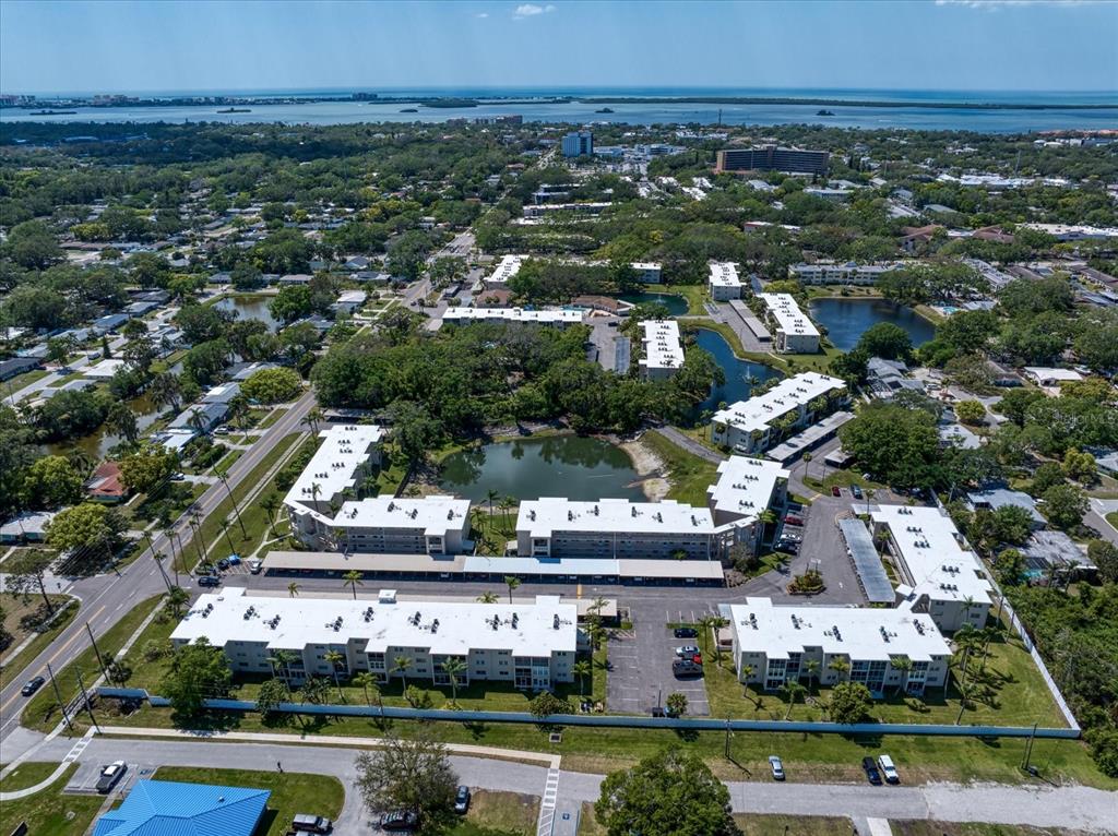 948 Virginia Street, Unit 202 Dunedin, FL 34698 - Photo 44 of 46