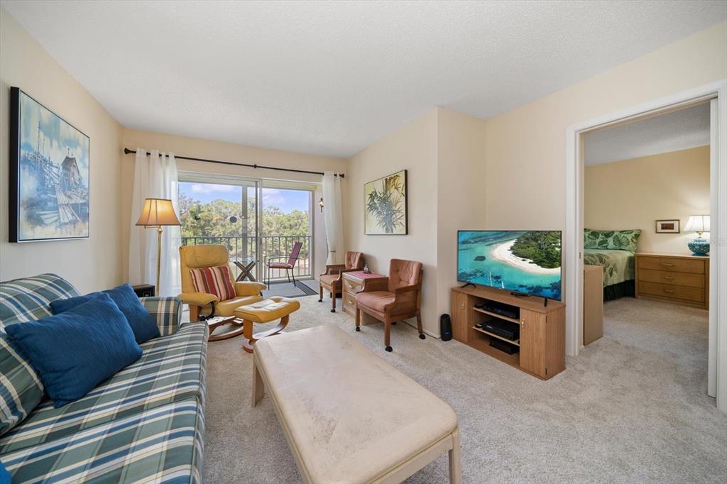 948 Virginia Street, Unit 202 Dunedin, FL 34698 - Photo 10 of 46