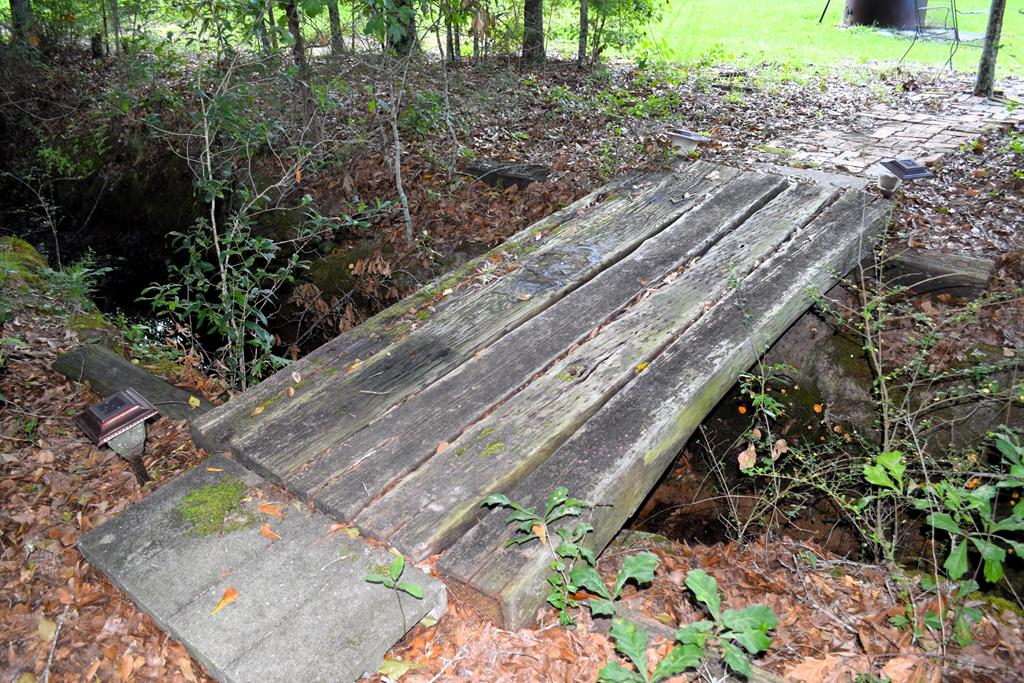 7252 County Road 49 Slocomb, AL 36375 - Photo 39 of 75