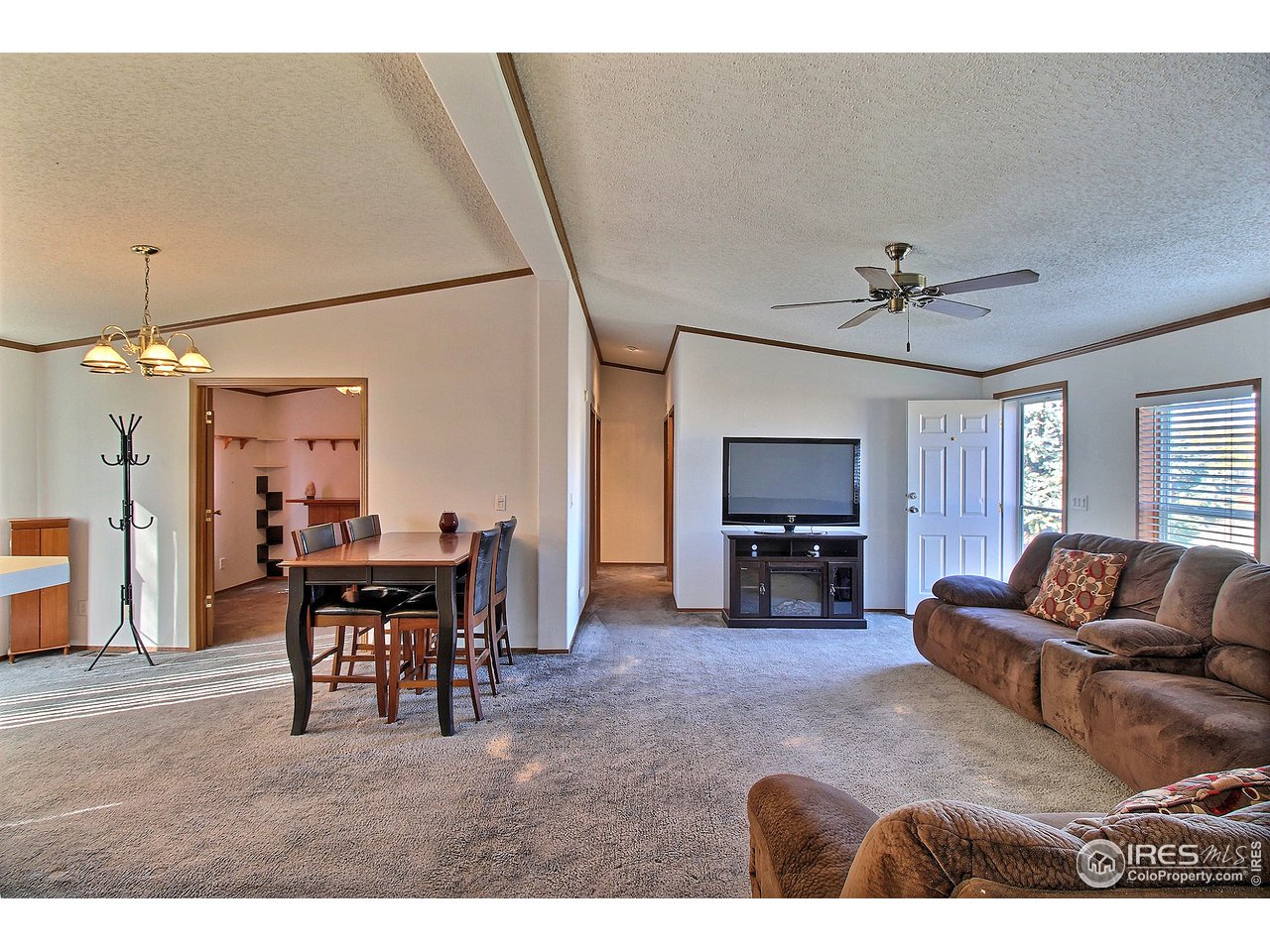 3380 West 3rd Street Road Greeley, CO 80631 - Photo 6 of 34 Vaulted Ceiling Details