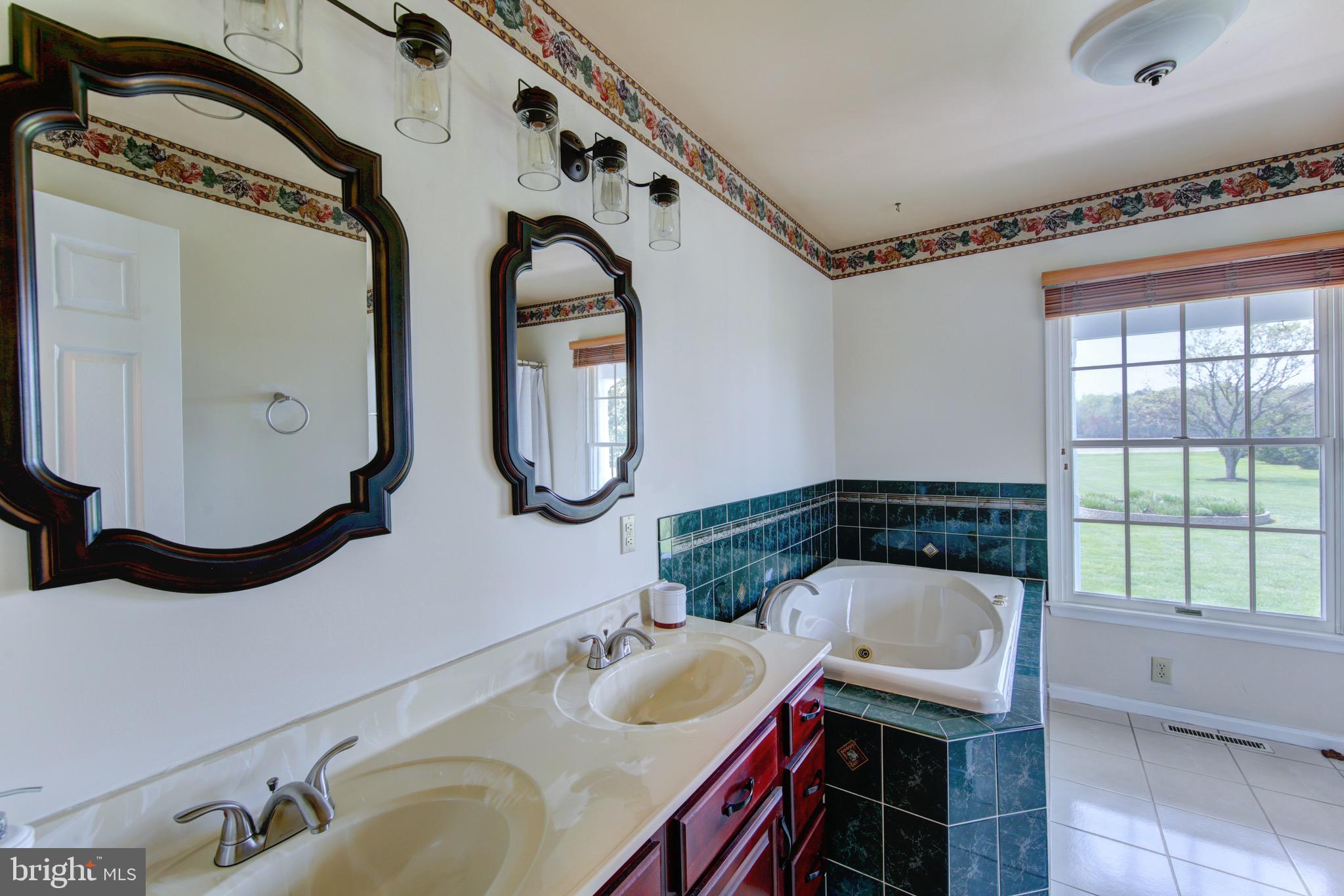 12233 Collins Road Bishopville, MD 21813 - Photo 23 of 78 Master Bath