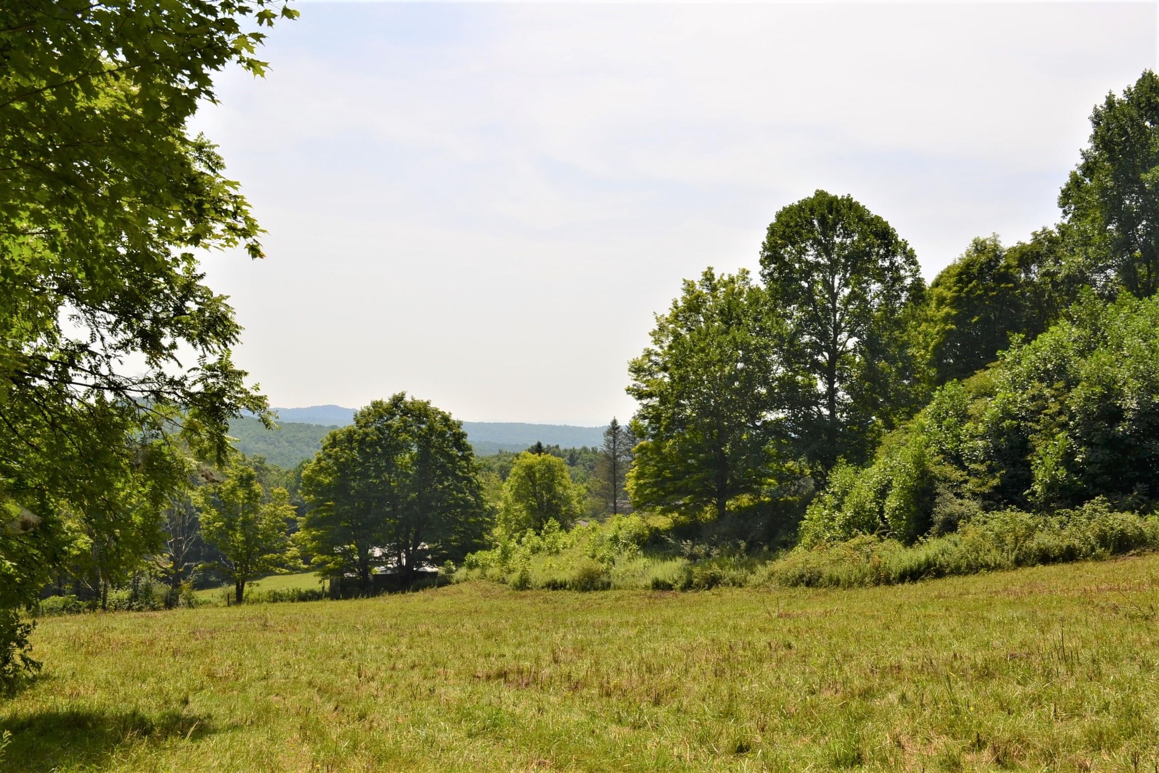 590 Arbaugh Road Williamsburg, WV 24991 - Photo 20 of 43 Gallery Image 20