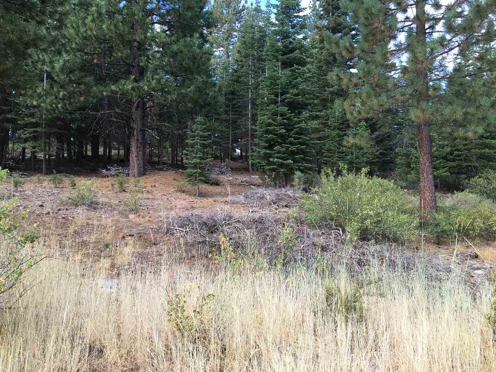 11140 Rancho View Court Truckee, CA 96161 - Photo 7 of 14 Gallery Image 7