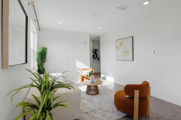 a living room with furniture flowerpot and a potted plant