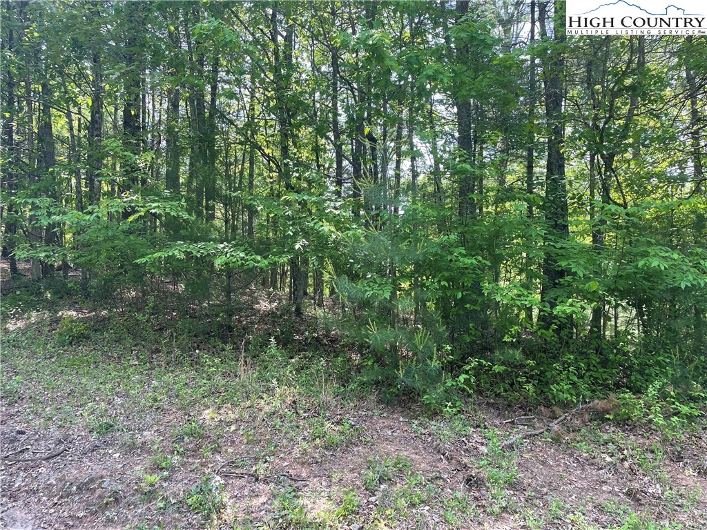 Lot 66 Daves Connector Road Jefferson, NC 28640 - Photo 3 of 20 Gallery Image 3