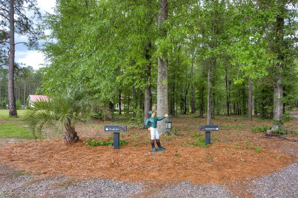 265 4 Oaks Road Wagener, SC 29164 - Photo 18 of 35