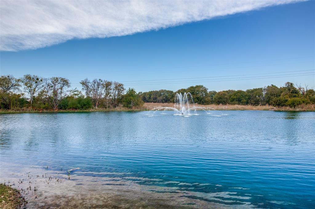 2951 Whitby Street Prosper, TX 75078 - Photo 34 of 37 Community Pond area