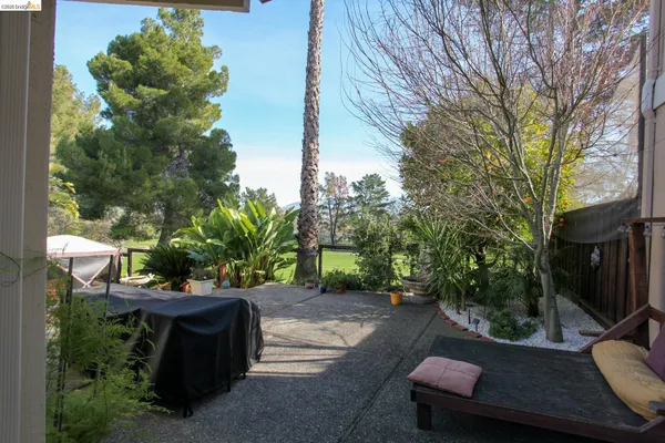 a view of a backyard with plants and a patio
