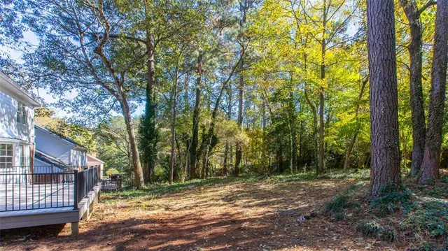 a view of backyard with tree