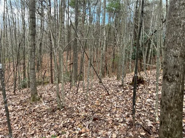 $21,900 | Lot 11 Fisher Valley Road, Dobson, NC 27017