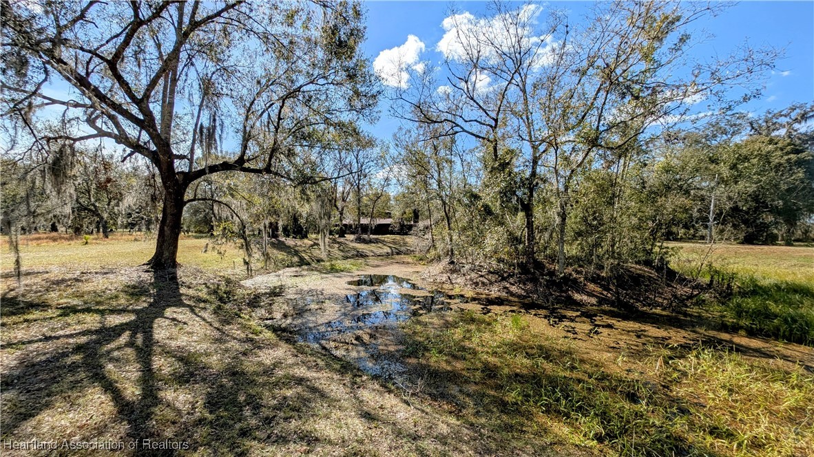 176 Manley Road Wauchula, FL 33873 - Photo 10 of 50